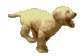 Copy (2) of labpuprun.gif (8795 bytes)